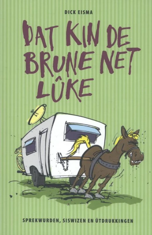 Dat kin de brune net luke – Dick Eisma – boek cover