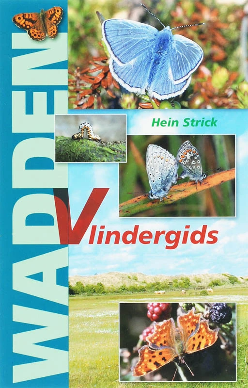 Wadden Vlindergids – H. Strick – boek cover