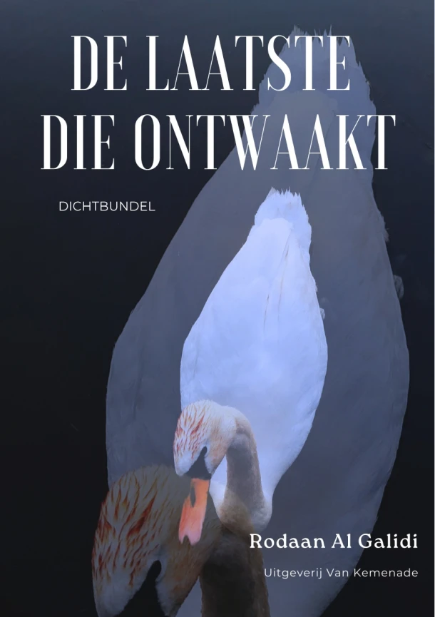 De laatste die ontwaakt – Rodaan Al Galidi – boek cover