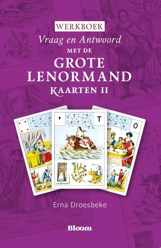 Werkboek van Vraag en Antwoord met de Grote Lenormandkaarten (deel II) – Erna Droesbeke – boek cover