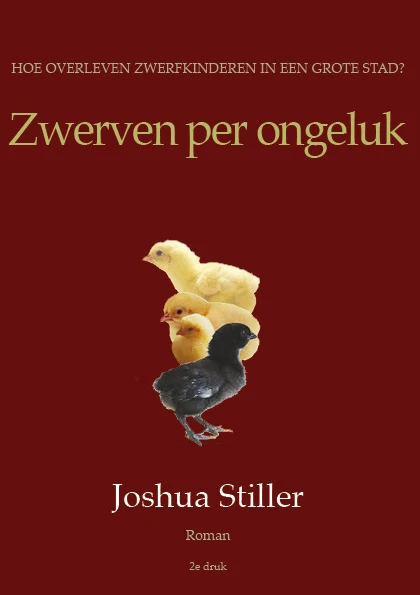 Zwerven per ongeluk – Joshua Stiller – boek cover