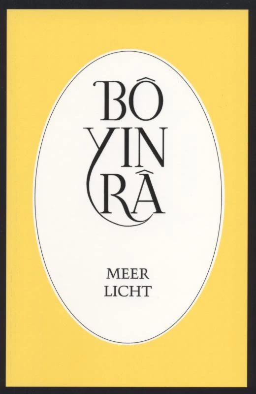 Meer licht – B¿ Yin R¿ – boek cover