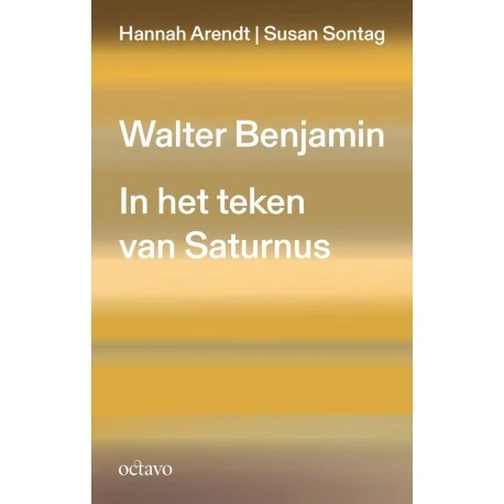 De top der sentimentele bevestiging – Paul Van Ostaijen – boek cover
