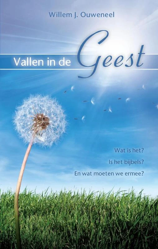 Vallen in de Geest – Willem J. Ouweneel – boek cover