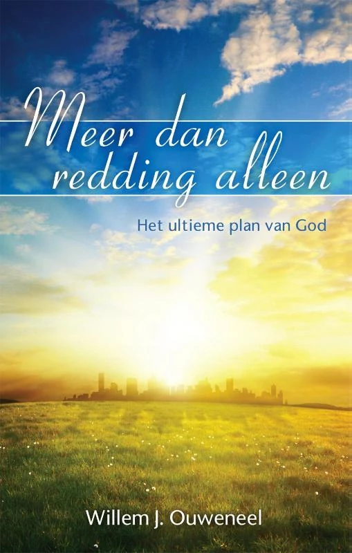 Meer dan redding alleen – Willem J. Ouweneel – boek cover