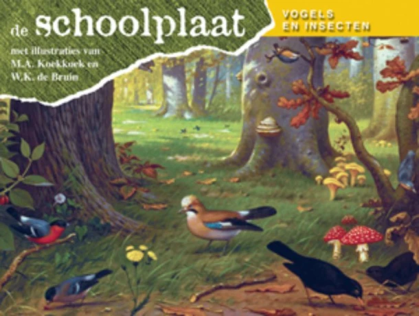 Vogels en Insecten – M.A. Koekkoek – boek cover