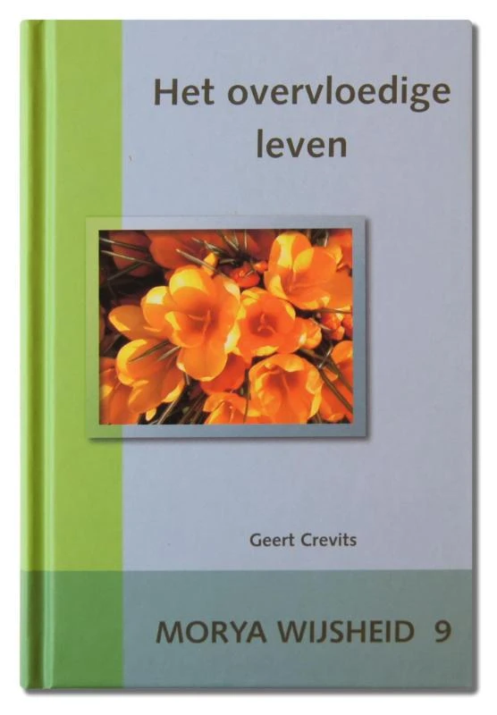 Het overvloedige leven – Morya – boek cover