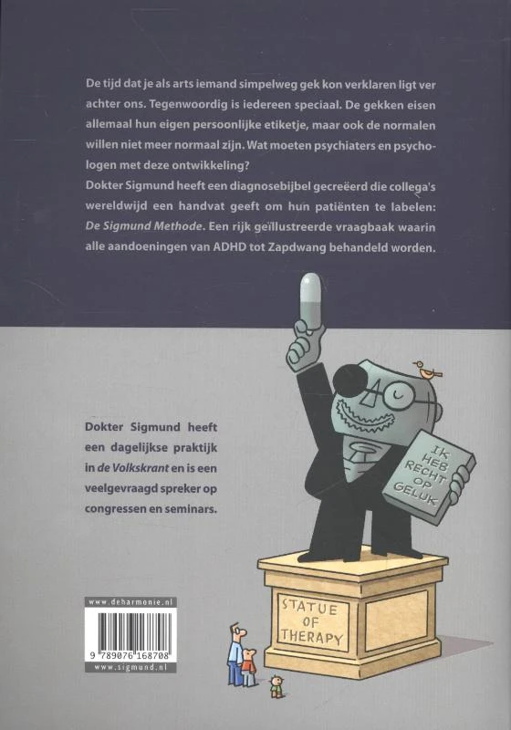 DSM – Peter de Wit – boek cover