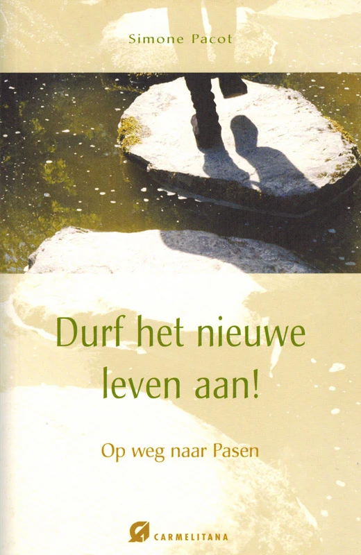 Durf het nieuwe leven aan! – Simone Pacot – boek cover