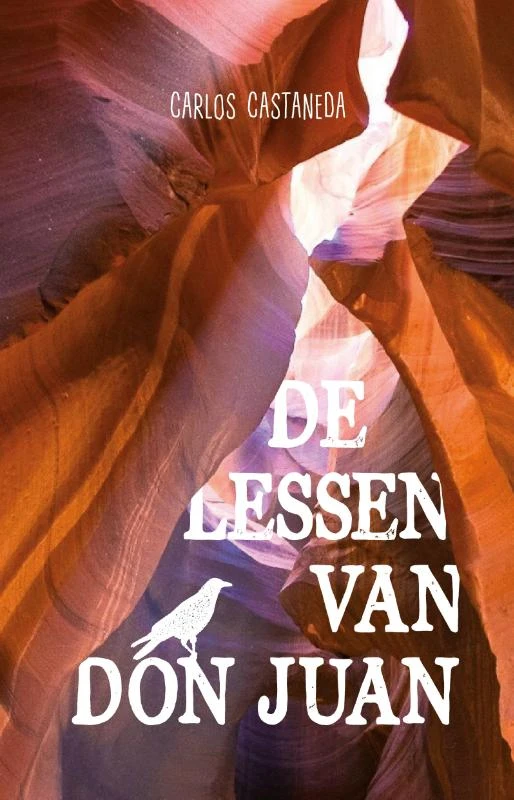 De lessen van Don Juan – Carlos Castaneda – boek cover