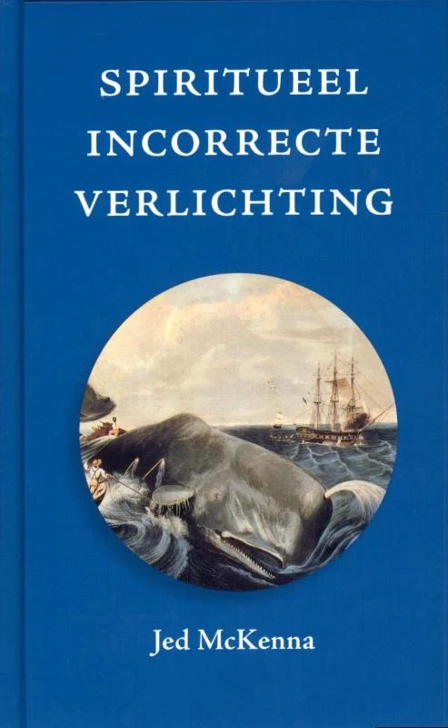 Spiritueel incorrecte verlichting – Jed McKenna – boek cover