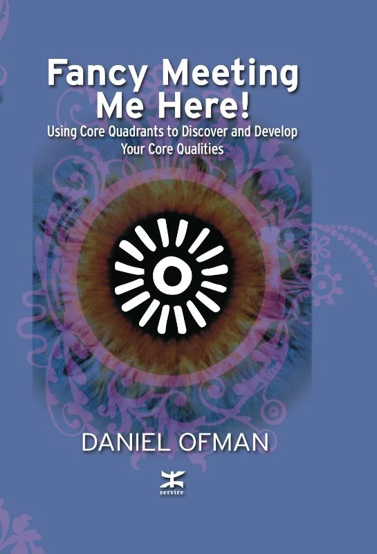 Fancy Meeting Me Here – Daniel Ofman – boek cover