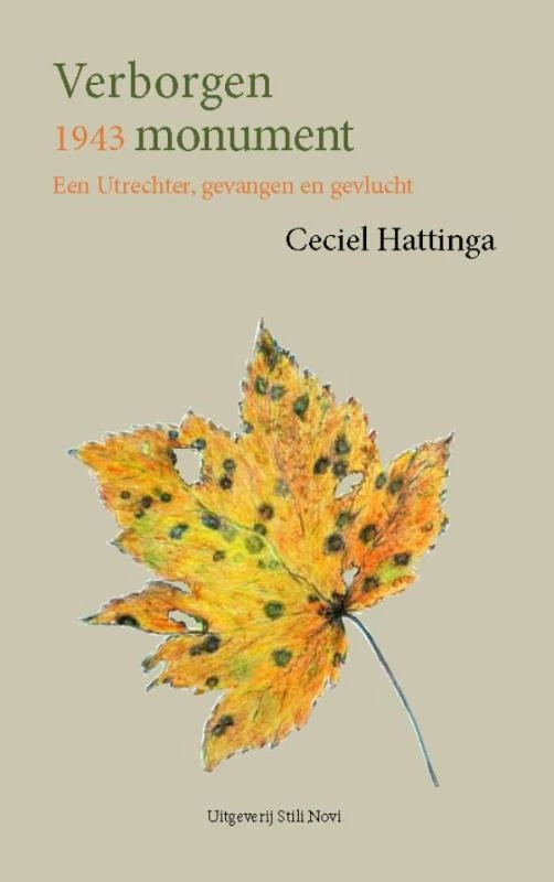 Verborgen monument – Ceciel Hattinga – boek cover