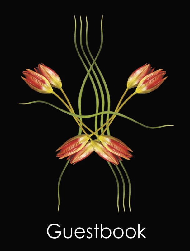 Guestbook Double Dutch Tulips – Berend-Jan Challa – boek cover