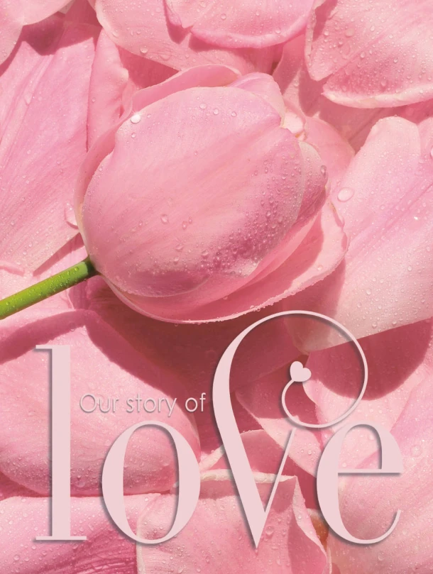 Gastenboek bruiloft LOVE luxe hardcover voor 250 gasten – Challa – boek cover