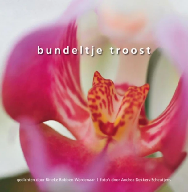 Bundeltje Troost – A. Dekkers-Scheutjens – boek cover