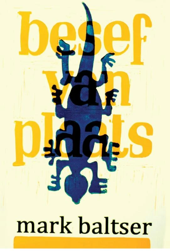 Besef van Plaats – Mark Baltser – boek cover