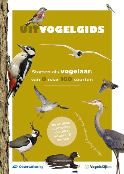 Uitvogelgids – Luc Hoogenstein – boek cover