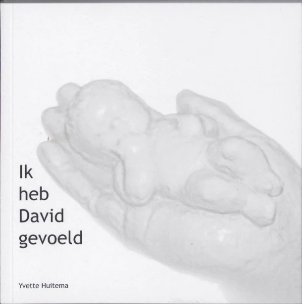 Ik heb David gevoeld – Yvette Huitema – boek cover