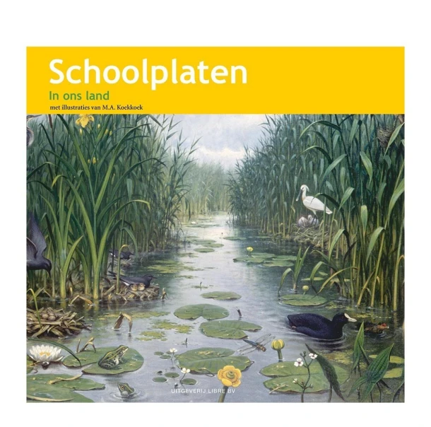 Schoolplaten In ons Land – A.W.M. Dost – boek cover