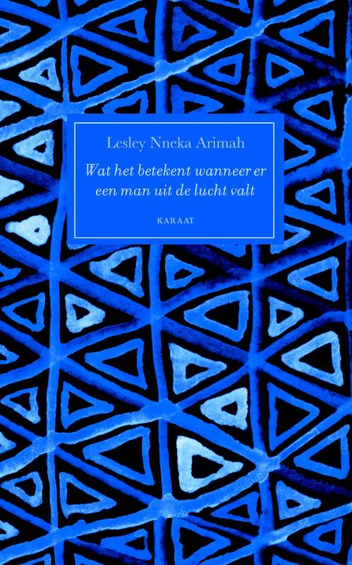 Wat het betekent wanneer er een man uit de lucht valt – Lesley Nneka Arimah – boek cover
