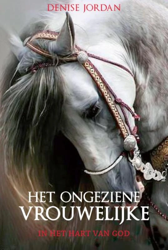 Het ongeziene vrouwelijke – Denise Jordan – boek cover