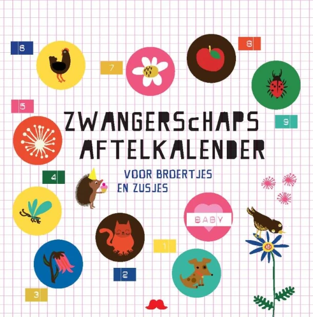Zwangerschaps aftelkalender – Hester Zitvast – boek cover