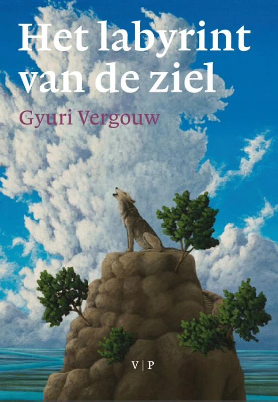 Het labyrint van de ziel – Gyuri Vergouw – boek cover