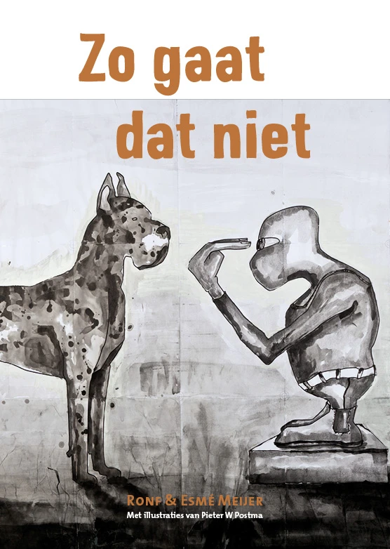 Zo gaat dat niet – Esmé Meijer – boek cover