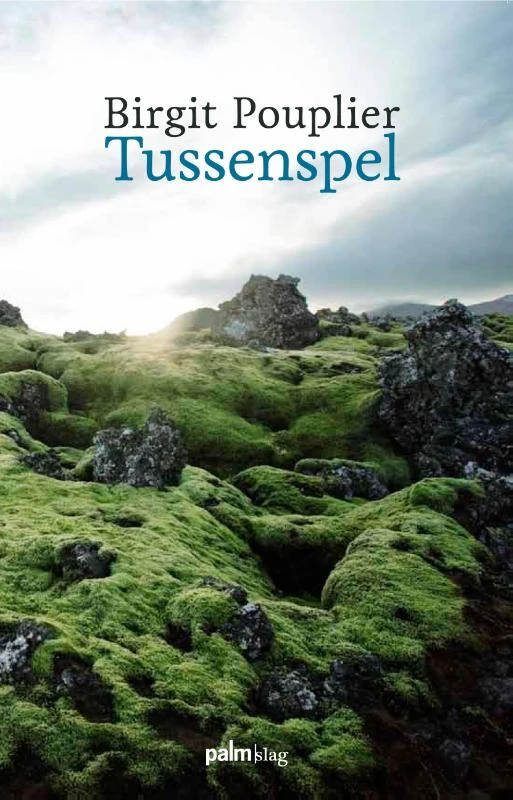 Tussenspel – Birgit Pouplier – boek cover