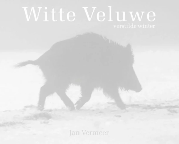 Witte Veluwe – Jan Vermeer – boek cover