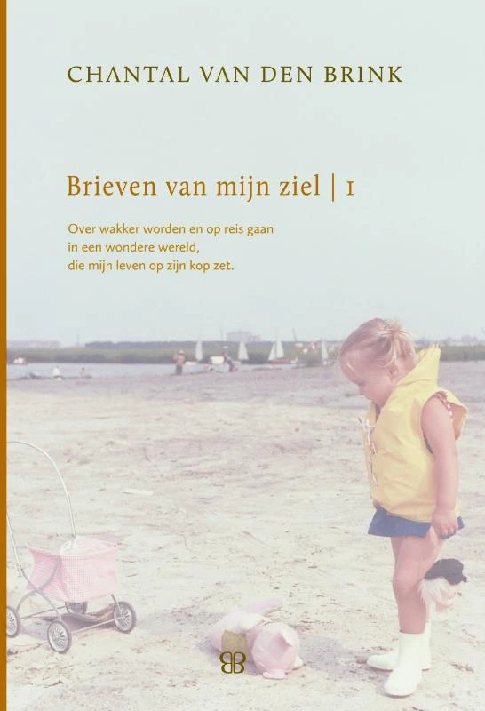 Brieven van mijn ziel 1993-1999 – Chantal van den Brink – boek cover