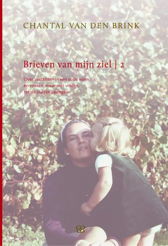 Brieven van mijn Ziel 2 – Chantal van den Brink – boek cover