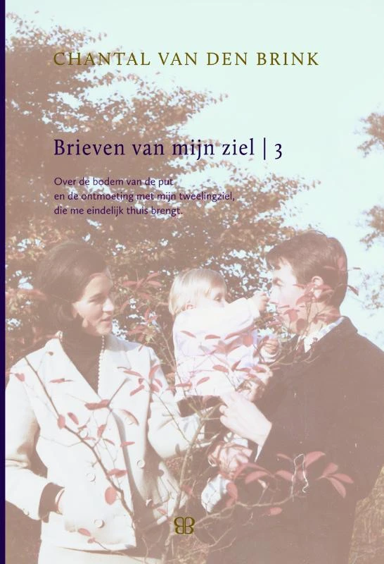 Brieven van mijn ziel 3 – Chantal van den Brink – boek cover