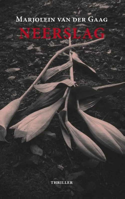 Neerslag – Marjolein van der Gaag – boek cover