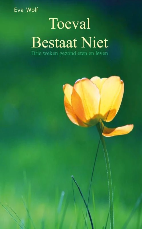 Toeval bestaat niet – Eva Wolf – boek cover
