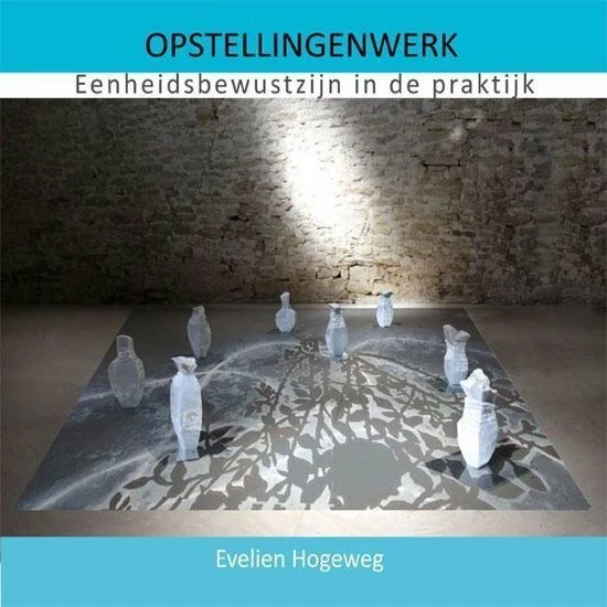 Opstellingenwerk – Evelien Hogeweg – boek cover