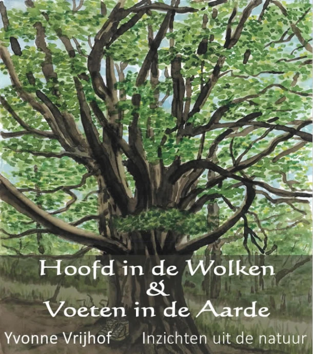 Hoofd in de wolken, voeten in de aarde – Yvonne Vrijhof -de Vries – boek cover