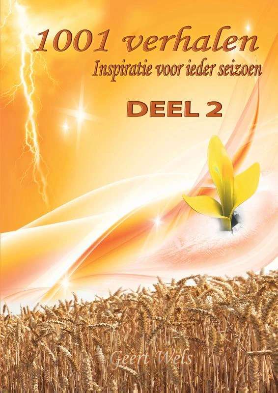 Inspiratie voor Leeuwen – Geert Wels – boek cover