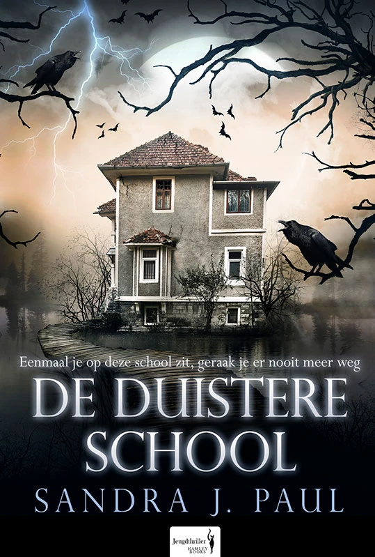 De Duistere School – Sandra J. Paul – boek cover