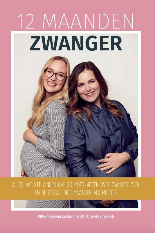 12 Maanden Zwanger – Willemijn van Lochem – boek cover