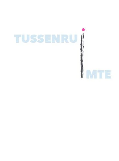Tussenruimte – Ingrid Bergman – boek cover