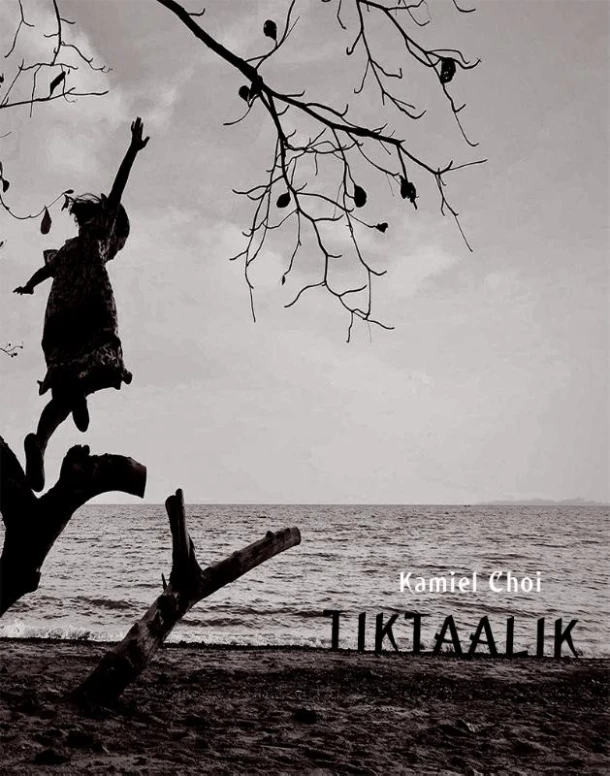 Tiktaalik – Kamiel Choi – boek cover