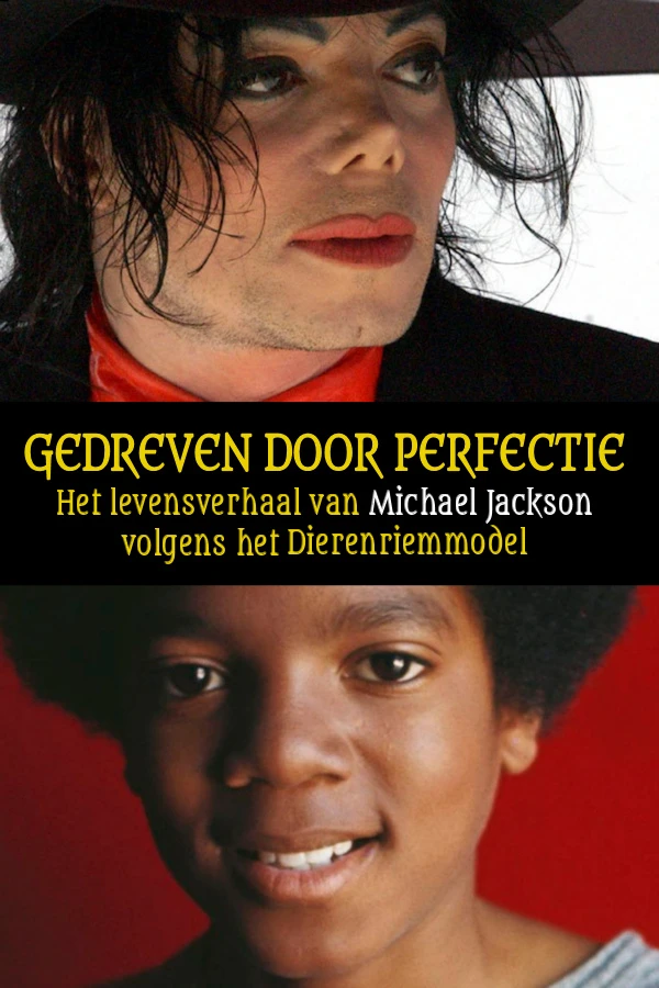 Gedreven door perfectie – Jeroen Visbeek – boek cover