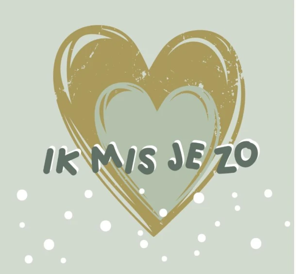 Ik mis je zo – Jacqueline Pieterson – boek cover