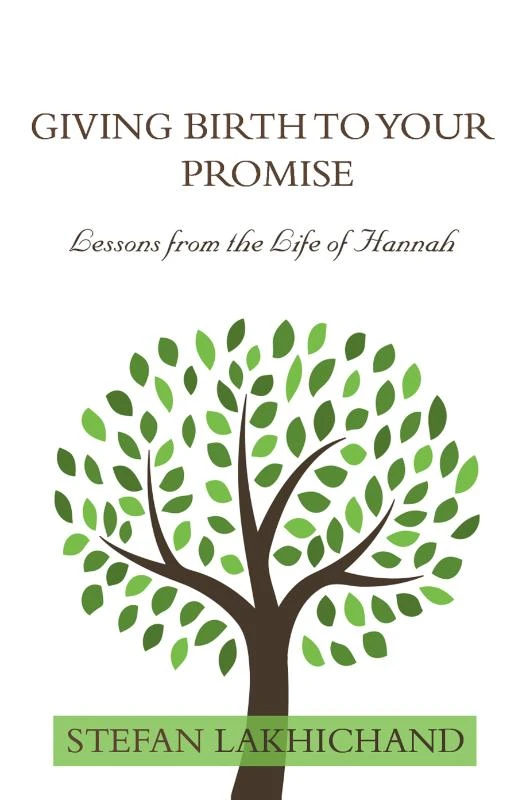 Giving Birth to your Promise – Stefan Lakhichand – boek cover