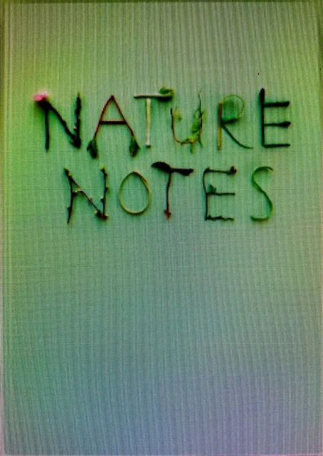 Nature Notes – Chantal van der Erve – boek cover