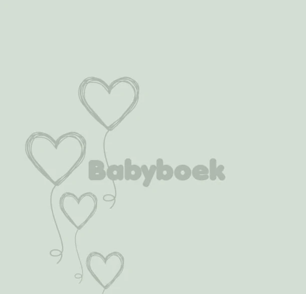 Babyboek – Jacqueline Pieterson – boek cover