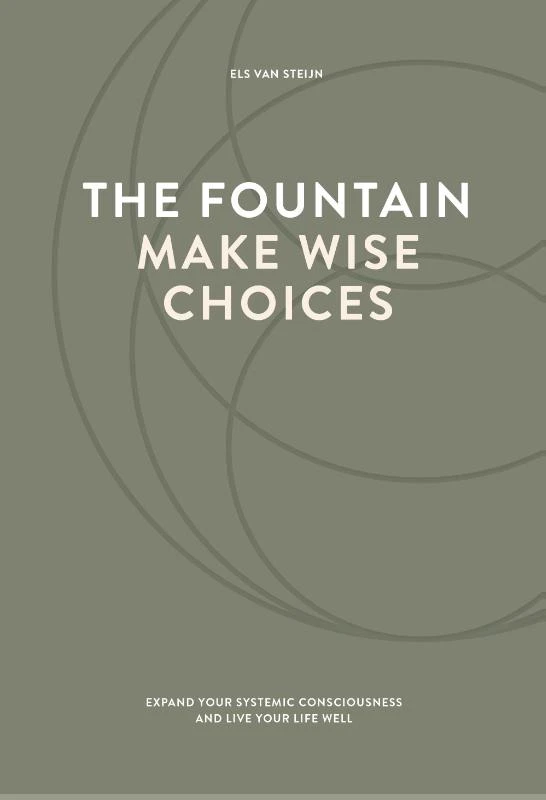 The fountain, make wise choices – Els Van Steijn – boek cover