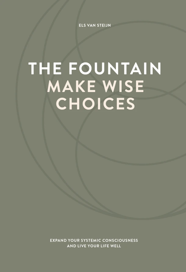 The fountain, make wise choices – Els Van Steijn – boek cover